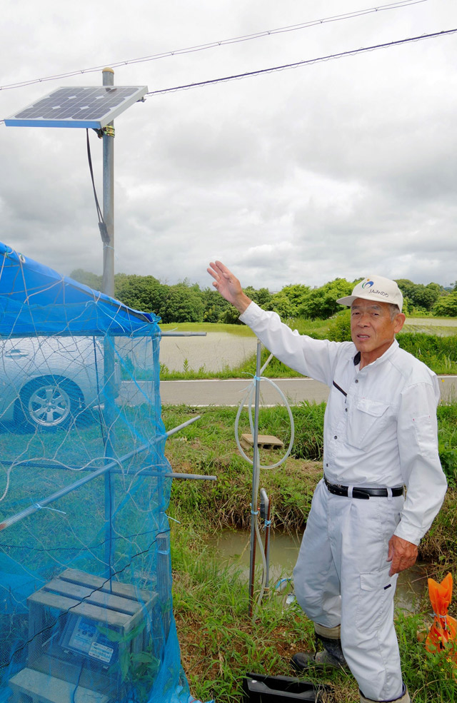 ７アールのナス畑に、日照に応じて水を供給するソーラー＝加東市