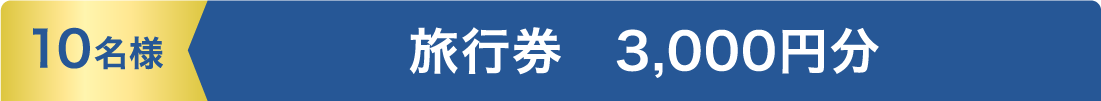 10名様 旅行券　3,000円分