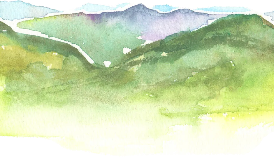 山
