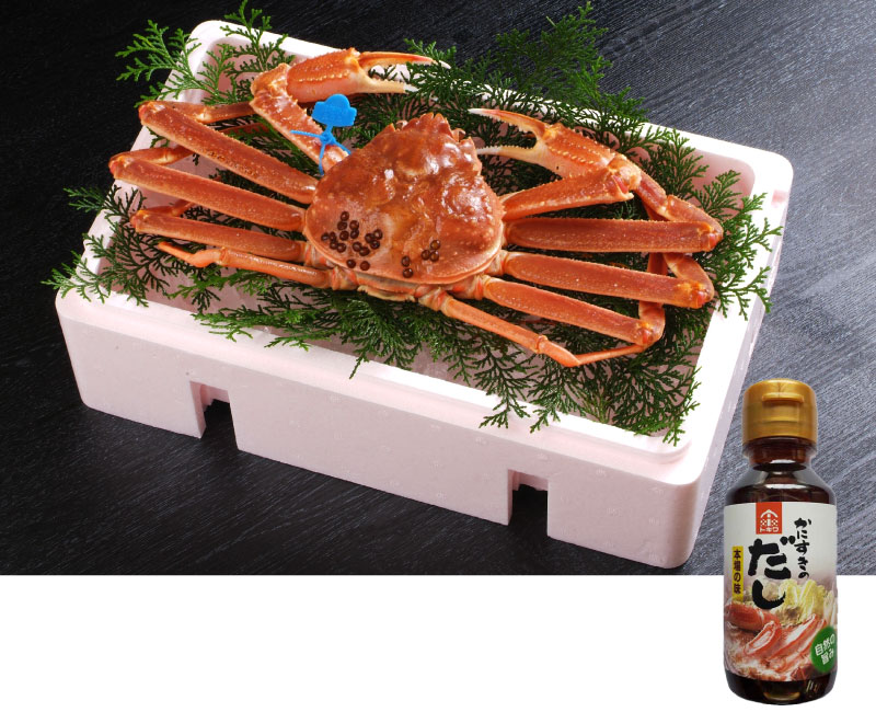 兵庫県津居山漁港タグ付き松葉ガニ