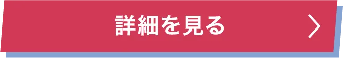 詳細を見る