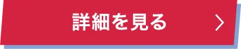 詳細を見る