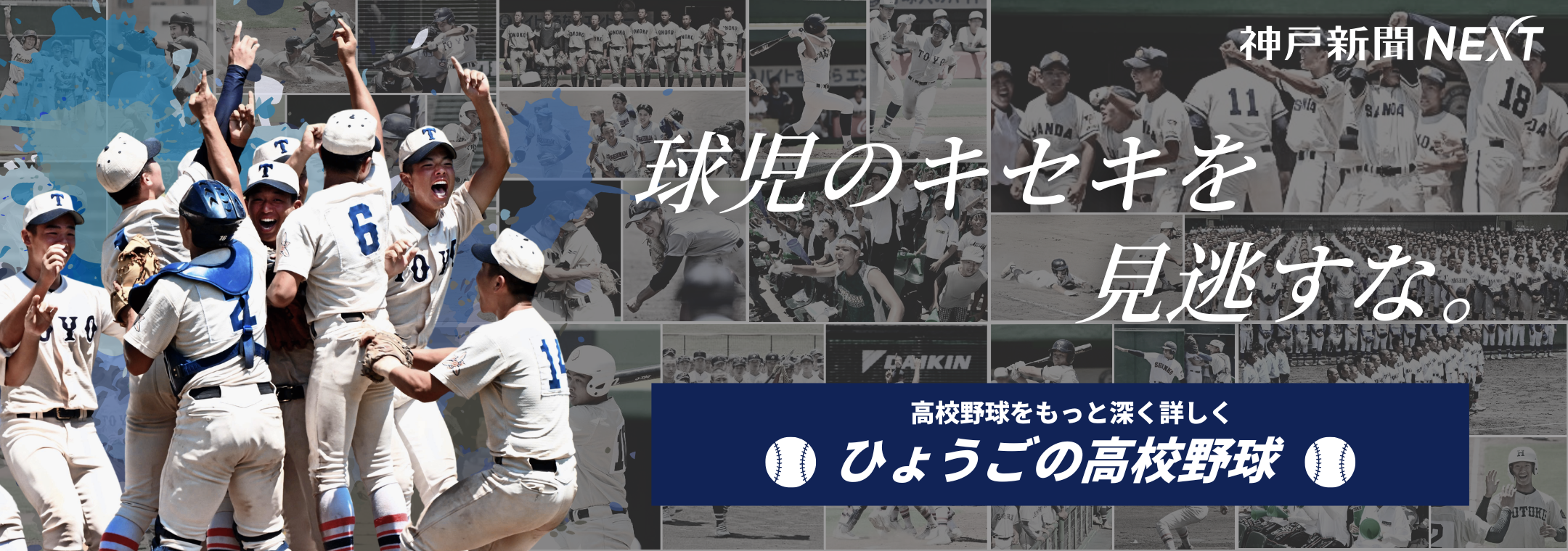 球児のキセキを見逃すな。高校野球をもっと深く詳しく ひょうごの高校野球