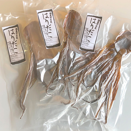 はりだこ２枚セット