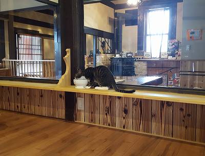 各店舗のイメージ写真