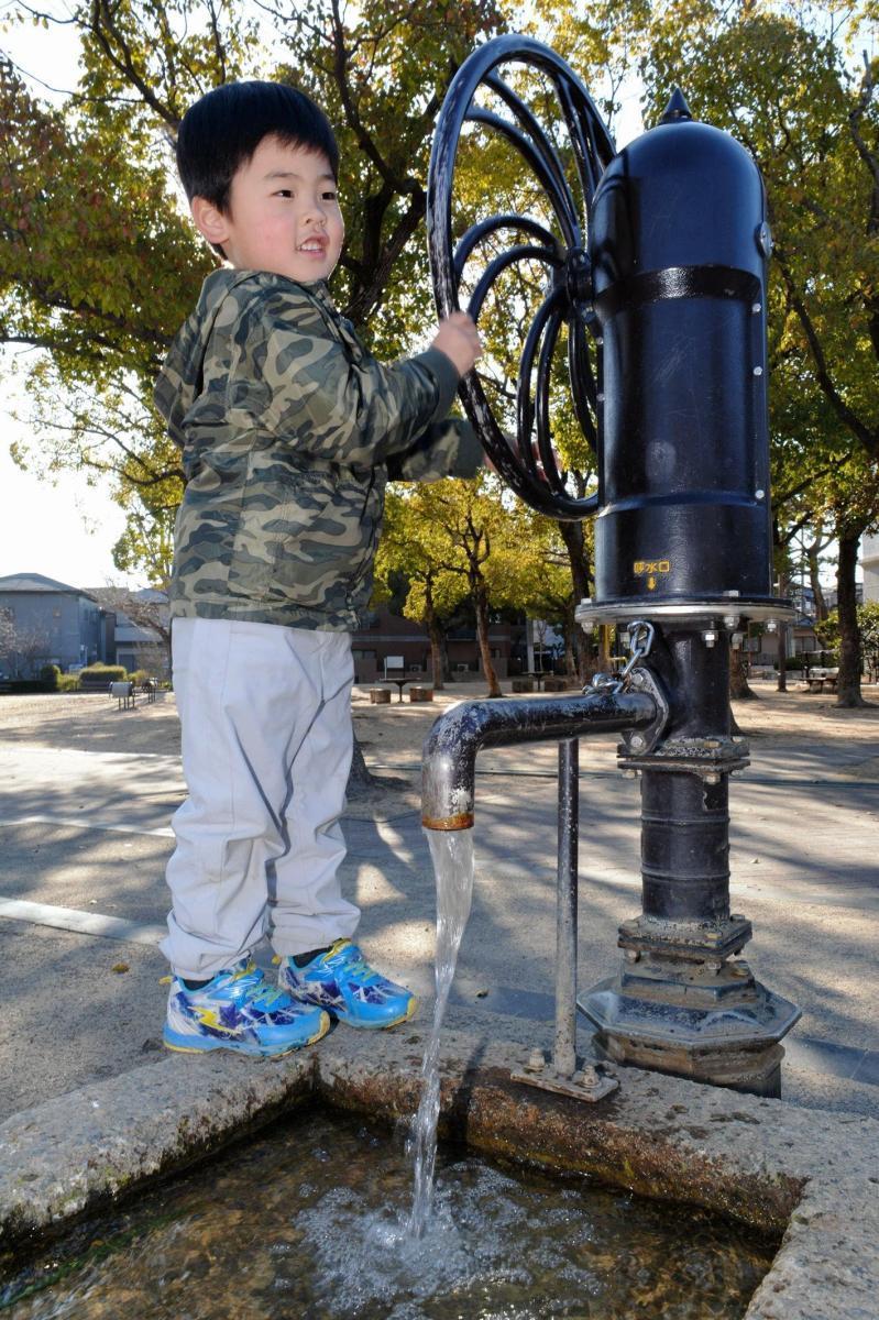 M's KOBE 神戸新聞NEXT