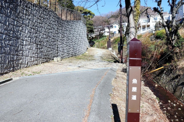 記事