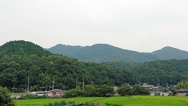 記事