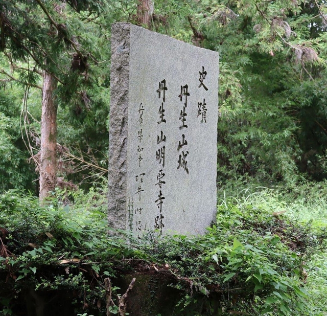 記事