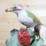 水を飲むスズメ、魚捕らえるカワセミ…今にも動き出しそうな木彫の野鳥
