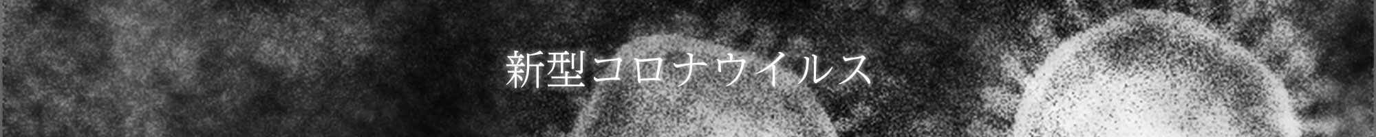 タイトル