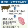 神戸新聞ＮＥＸＴ