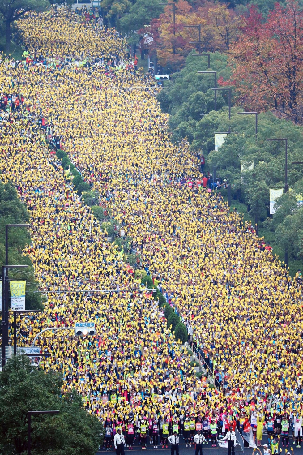 神戸新聞 ホーム 連載 特集 姫路城マラソン ２万人が港町駆ける 神戸マラソンスタート