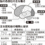 神戸新聞ＮＥＸＴ