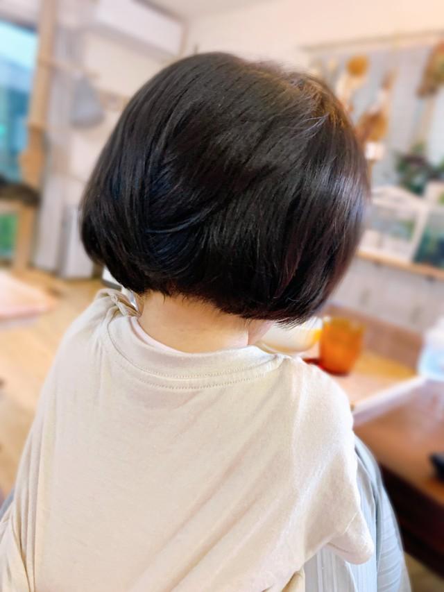 後ろ姿小学生やけど一応0歳8ヶ月の赤ちゃんです きれいなボブが可愛いと話題 本当に赤ちゃん その毛量うらやましい 神戸新聞next 連載 特集 話題