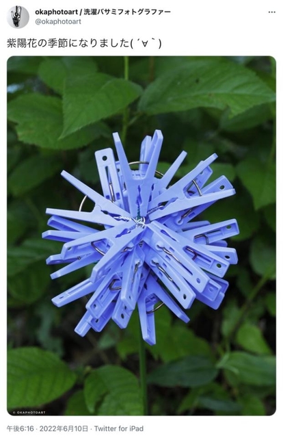 神戸新聞NEXT｜連載・特集｜話題｜「紫陽花の季節になりました」→よ