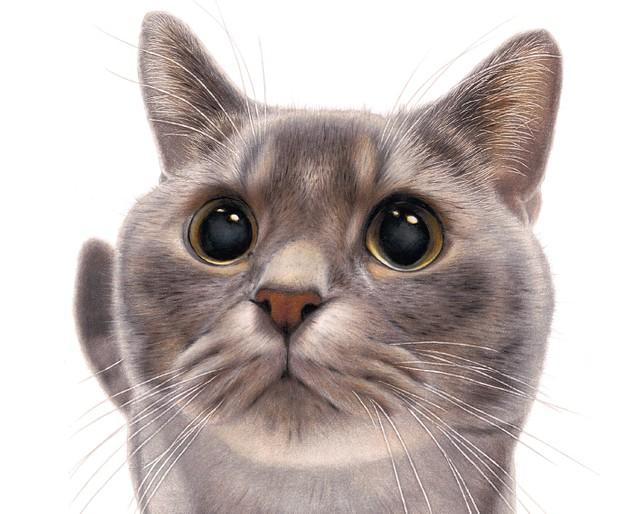神戸新聞next 連載 特集 話題 リアルすぎる 猫の絵 を私も描いてみたい 作者がその技をぬりえ本で伝授 色鉛筆で命を吹き込むイメージ
