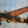 徳島海軍航空隊所属の偵察用練習機「白菊」（田尻正人さん提供）
