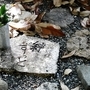 祈念石には、被災者のメッセージが込められている＝松山市石手、石手寺