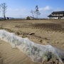 約半分だけが移転促進地域となった集落。残る住民は孤立感を抱く＝宮城県亘理町（撮影・斎藤雅志） 
